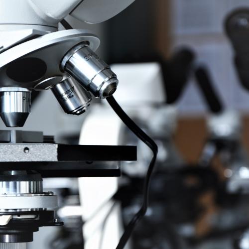 Mikroskop