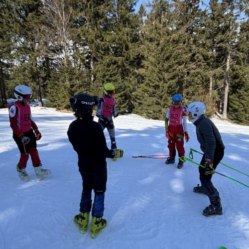 Bundesmeisterschaften