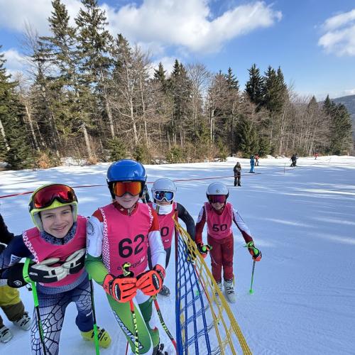 Bundesmeisterschaften