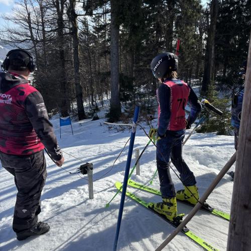 Bundesmeisterschaften