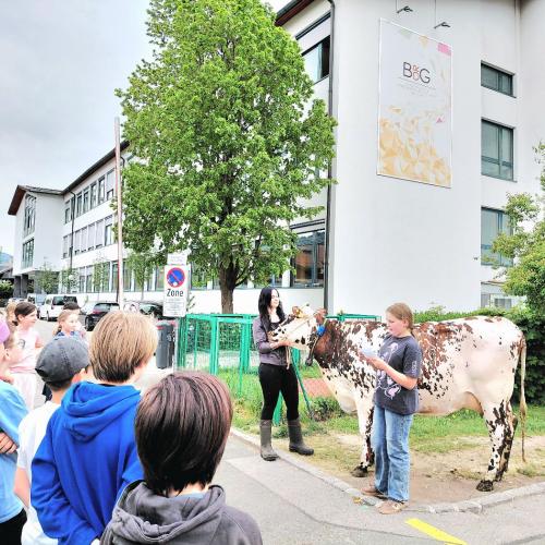 Tierbesuch 6