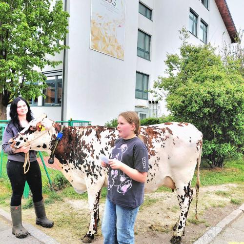 Tierbesuch 5