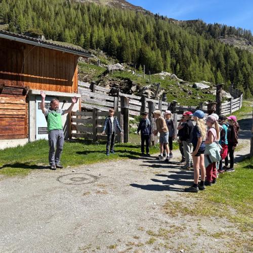 NP Hohe Tauern8