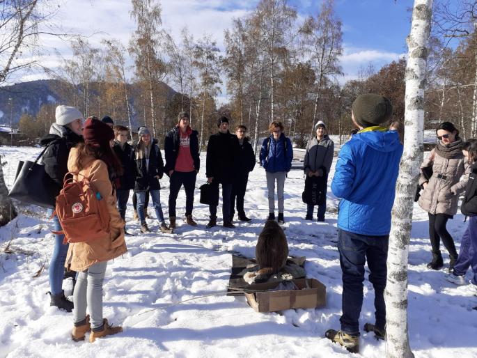 Gruppe beim Bibermodell